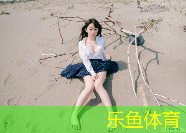 乐鱼体育官方网站,户外网球网架安装