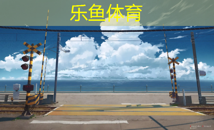 乐鱼体育,自结纹塑胶跑道运动场施工