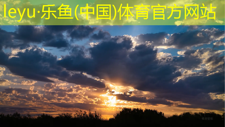 <strong>乐鱼体育,南京供应塑胶跑道工程施工</strong>