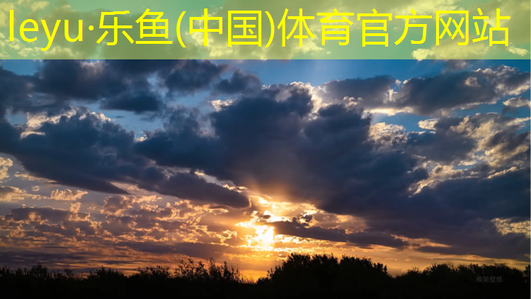 <strong>leyu·乐鱼(中国)体育官方网站,柳州塑胶跑道彩色颗粒</strong>