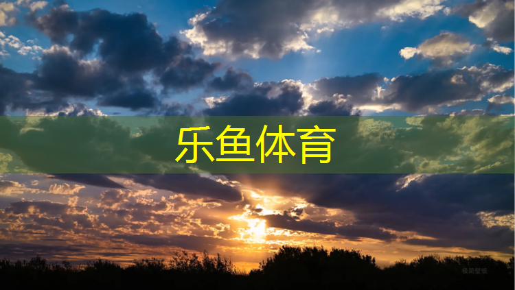 乐鱼体育,西藏塑胶跑道铺设