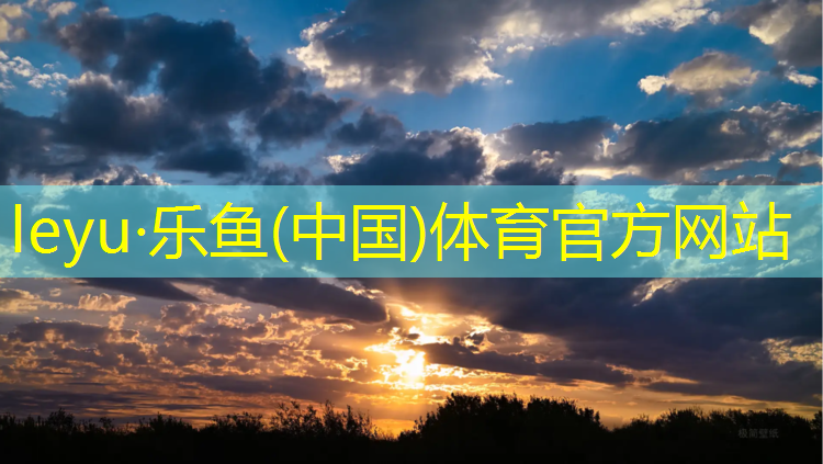 leyu·乐鱼(中国)体育官方网站,多彩跑道惊艳亮相！塑胶彩色路面施工工艺走在前列