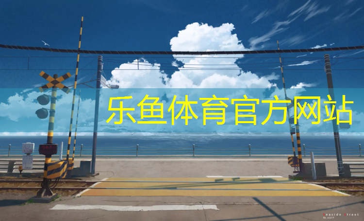 自结纹塑胶跑道运动场施工