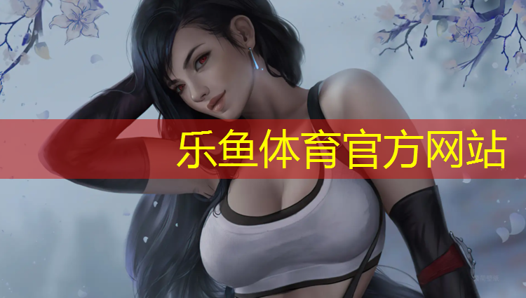 网球网中心带子
